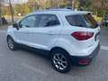 Ford EcoSport 1.0 EcoBoost 125 CV*Tetto*Navi*Cerchi*Neopatentati Weiß - thumbnail 10