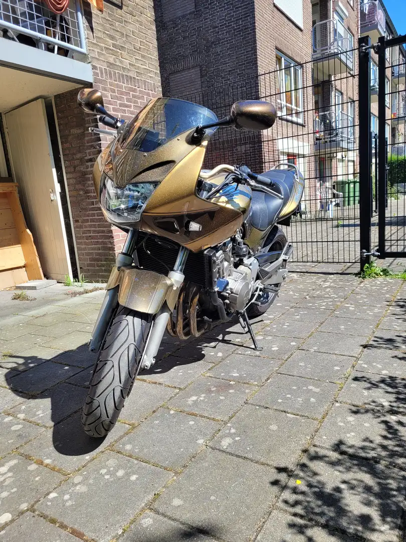 Honda CB 600 Hornet Бронзовий - 1