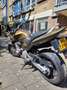 Honda CB 600 Hornet Bronze - thumbnail 18