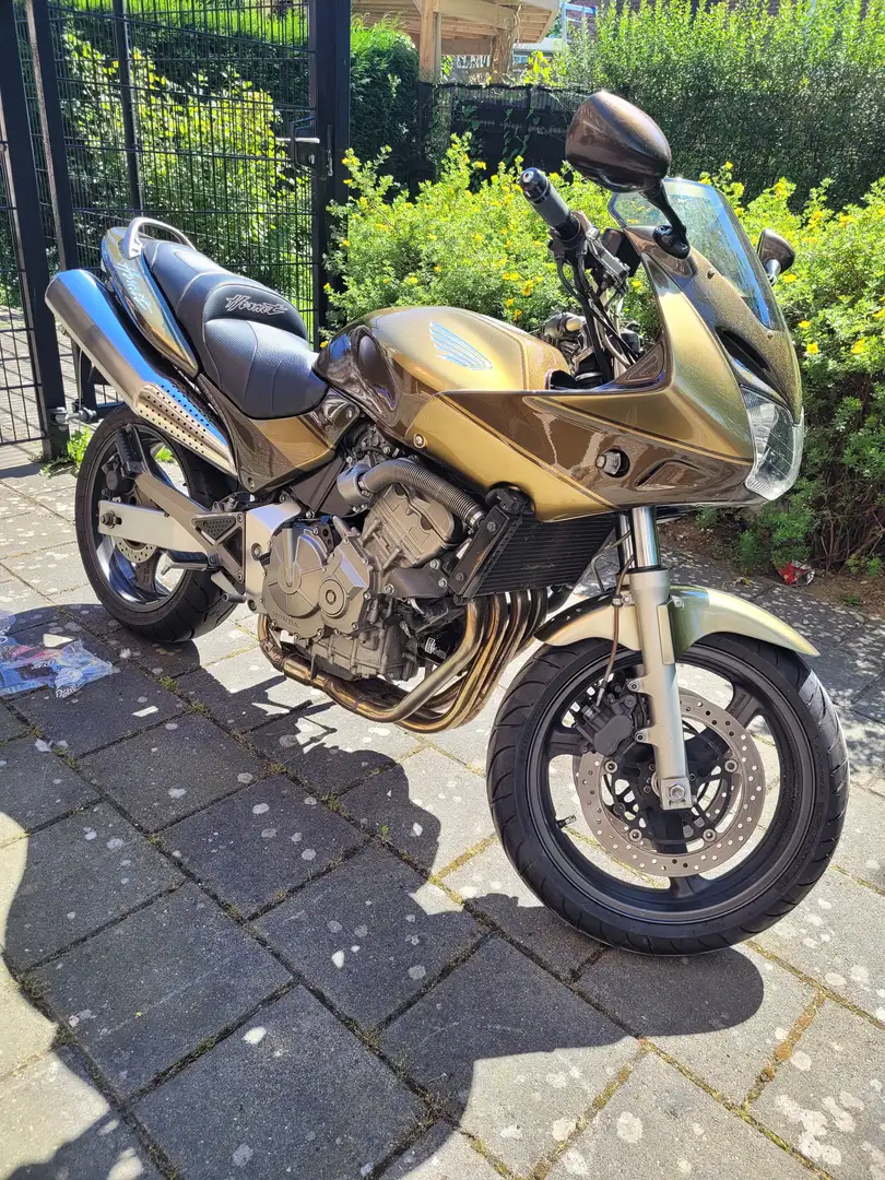 Honda CB 600 Hornet Бронзовий - 2