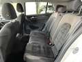 Volkswagen Golf 1.6TDI CR BMT Sport DSG 105 Blanco - thumbnail 14