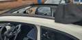 Fiat 500 E-Cabrio- Najaarsopruiming tot 2000 Korting! Blanc - thumbnail 8