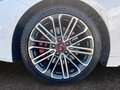 Kia ProCeed / pro_cee'd 1.6 T-GDI Navi Klimaautom Rückfahrkam. PDCv+h SHZ Weiß - thumbnail 14