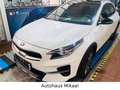 Kia XCeed Platinum Edition Plug-in Hybrid Weiß - thumbnail 3