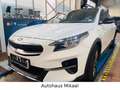 Kia XCeed Platinum Edition Plug-in Hybrid Weiß - thumbnail 2