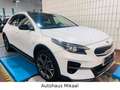 Kia XCeed Platinum Edition Plug-in Hybrid Weiß - thumbnail 5