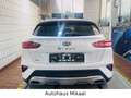 Kia XCeed Platinum Edition Plug-in Hybrid Weiß - thumbnail 8