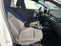 Ford Focus Turnier 2.0EcoBlue 150PS 6-Gang Manuell Weiß - thumbnail 7