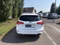 Ford Focus Turnier 2.0EcoBlue 150PS 6-Gang Manuell Weiß - thumbnail 5