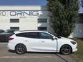 Ford Focus Turnier 2.0EcoBlue 150PS 6-Gang Manuell Weiß - thumbnail 6