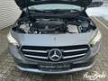 Mercedes-Benz B 200 B 200 d Progressive/Night/18"/PremNavi/LED/AHK PTS Grau - thumbnail 7