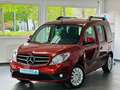 Mercedes-Benz Citan 109 CDI lang Behindertengerecht-Rampe Rot - thumbnail 3