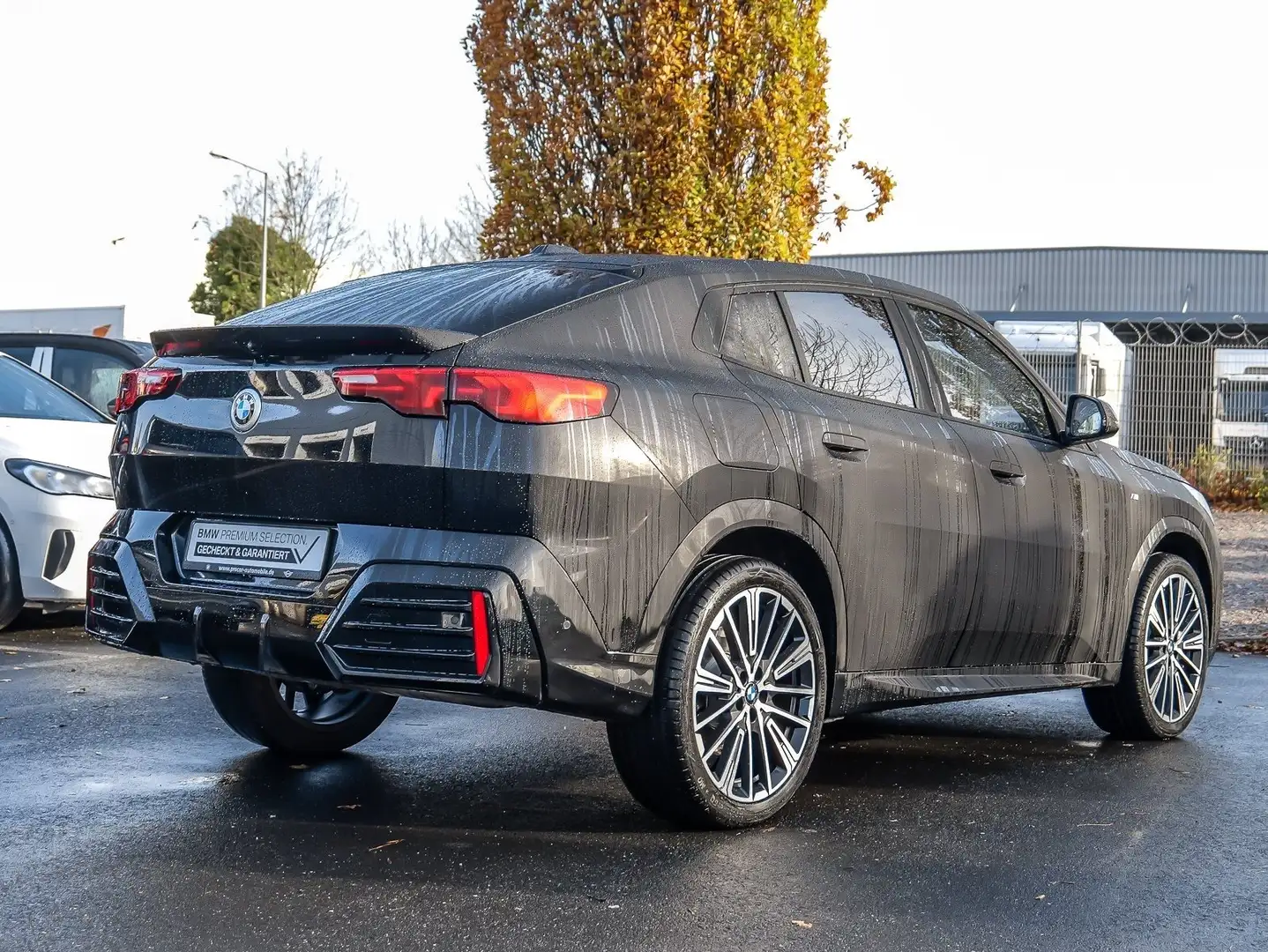 BMW X2 sDrive20i M Sport PANO RFK NAVI LED PDC V+H Schwarz - 2