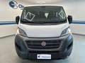 Fiat Ducato 2.3 MJT 140CV PC-TN Panorama Weiß - thumbnail 2