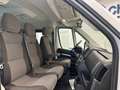 Fiat Ducato 2.3 MJT 140CV PC-TN Panorama Weiß - thumbnail 12