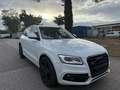 Audi SQ5 3.0 TDI competition tiptronic quattro Bianco - thumbnail 1