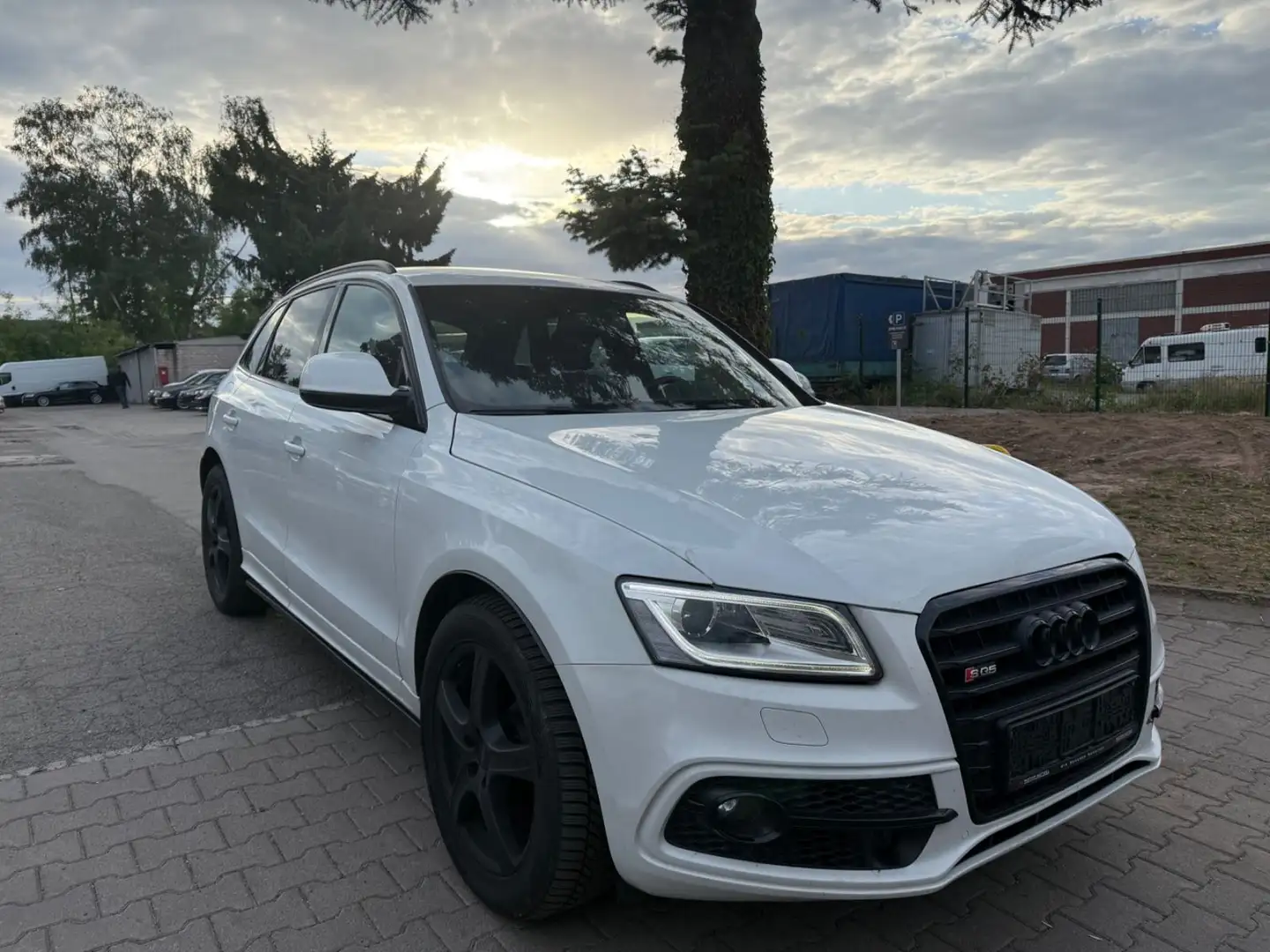 Audi SQ5 3.0 TDI competition tiptronic quattro Bianco - 1