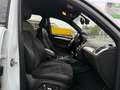 Audi SQ5 3.0 TDI competition tiptronic quattro Bianco - thumbnail 9