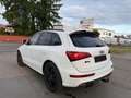 Audi SQ5 3.0 TDI competition tiptronic quattro Bianco - thumbnail 7
