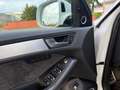 Audi SQ5 3.0 TDI competition tiptronic quattro Bianco - thumbnail 15