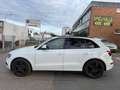 Audi SQ5 3.0 TDI competition tiptronic quattro Bianco - thumbnail 8