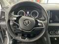 Skoda Karoq Karoq 1.0 tsi Ambition 110cv Grigio - thumbnail 10