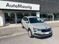 Skoda Karoq Karoq 1.0 tsi Ambition 110cv Grigio - thumbnail 2