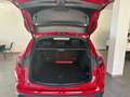 Alfa Romeo Stelvio Stelvio 2.2 t Super Business Q4 190cv auto Rouge - thumbnail 13