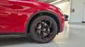 Alfa Romeo Stelvio Stelvio 2.2 Q4 190cv-20"-CAR PLAY-KAMERA-CRUISE AD Rojo - thumbnail 5