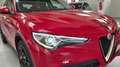 Alfa Romeo Stelvio Stelvio 2.2 Q4 190cv-20"-CAR PLAY-KAMERA-CRUISE AD Rojo - thumbnail 6