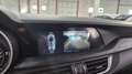 Alfa Romeo Stelvio Stelvio 2.2 Q4 190cv-20"-CAR PLAY-KAMERA-CRUISE AD Rojo - thumbnail 15