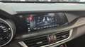 Alfa Romeo Stelvio Stelvio 2.2 Q4 190cv-20"-CAR PLAY-KAMERA-CRUISE AD Rojo - thumbnail 16