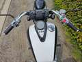 Kawasaki EN 500 Wit - thumbnail 4