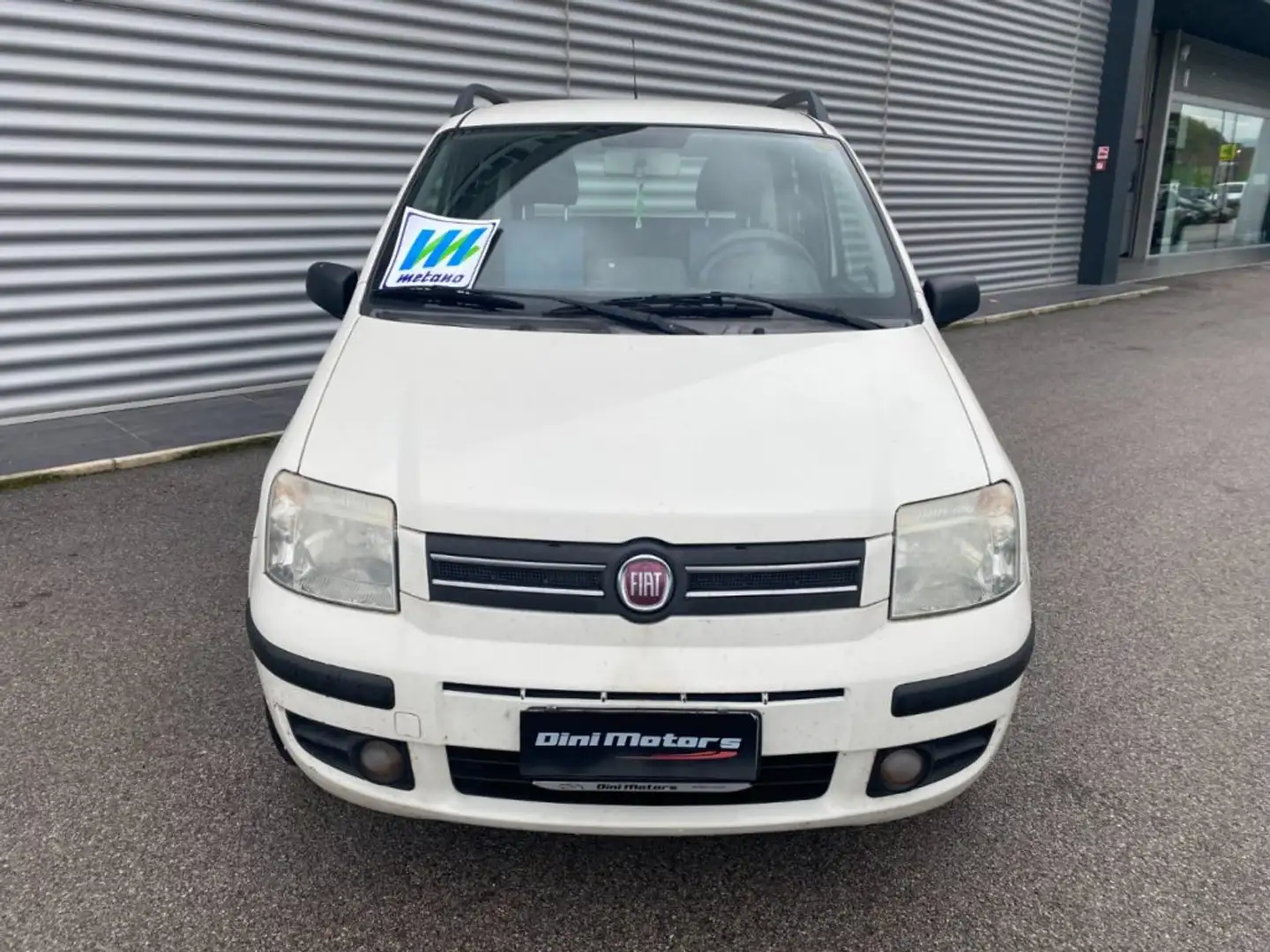 Fiat Panda 1.2 Dynamic Natural Power METANO OK NEOPATENTATO Bianco - 2