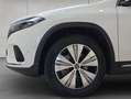 Mercedes-Benz EQA 300 EQA Alb - thumbnail 19