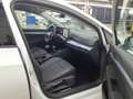 Volkswagen Golf VIII 1.5 TSI GOAL Navi, LED plus, AHK, Allw Weiß - thumbnail 6