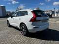 Volvo XC60 T6 AWD RECHARGE Panorama I Navigatie I Camera All- Wit - thumbnail 4