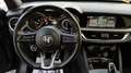 Alfa Romeo Stelvio Stelvio 2.2 auto *IMMATRICOLATA N1* Zwart - thumbnail 10