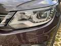 Volkswagen Tiguan 2.0TDI Rline LOUNGE mit neuem Pickerl 1 Besitzer Grau - thumbnail 14