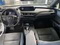 Lexus UX 200 50h 2.0 2wd cvt my20 Beyaz - thumbnail 10