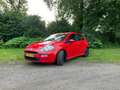 Fiat Punto Punto 0.9 TwinAir Street Red - thumbnail 3