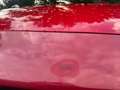 Fiat Punto Punto 0.9 TwinAir Street Rood - thumbnail 26