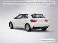 Audi A1 30 TFSI Navi+/ACC/Kamera Weiß - thumbnail 5