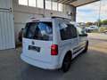 Volkswagen Caddy Trendline BMT - guter Zustand! Bianco - thumbnail 5