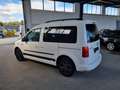 Volkswagen Caddy Trendline BMT - guter Zustand! Bianco - thumbnail 8