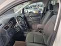 Volkswagen Caddy Trendline BMT - guter Zustand! Bianco - thumbnail 15