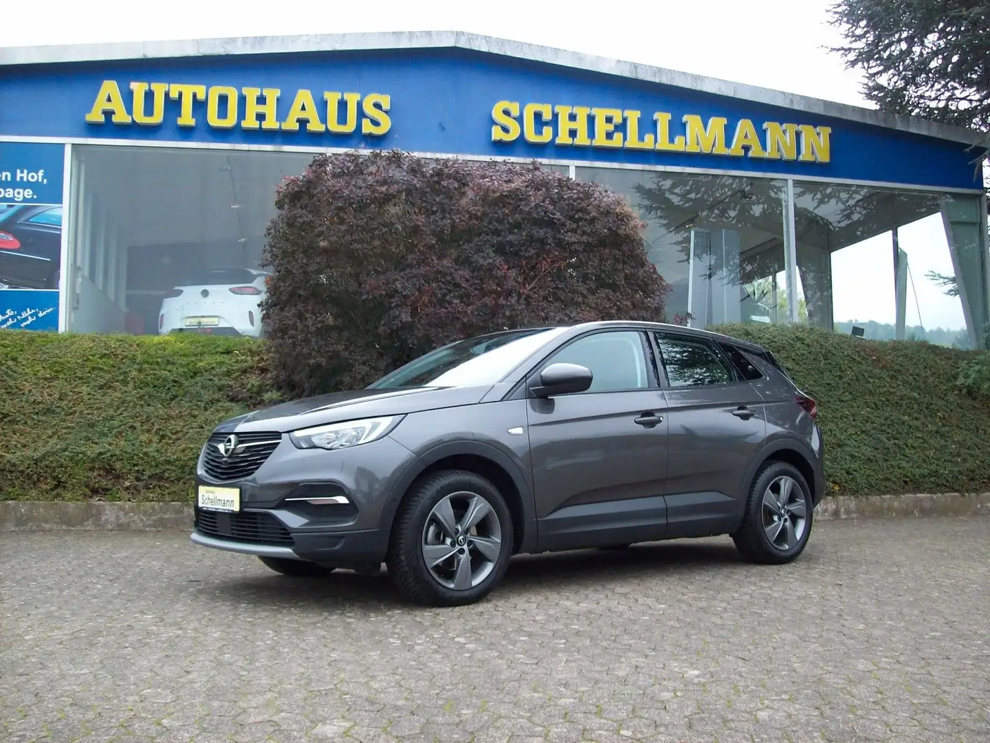 Opel Grandland X 1.2 T LED 360* SHZ LHZ Navi AHK Grau - 1
