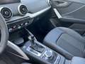 Audi Q2 35 TFSI S-Line Matrix Klima DAB SHZ Kamera Rojo - thumbnail 19