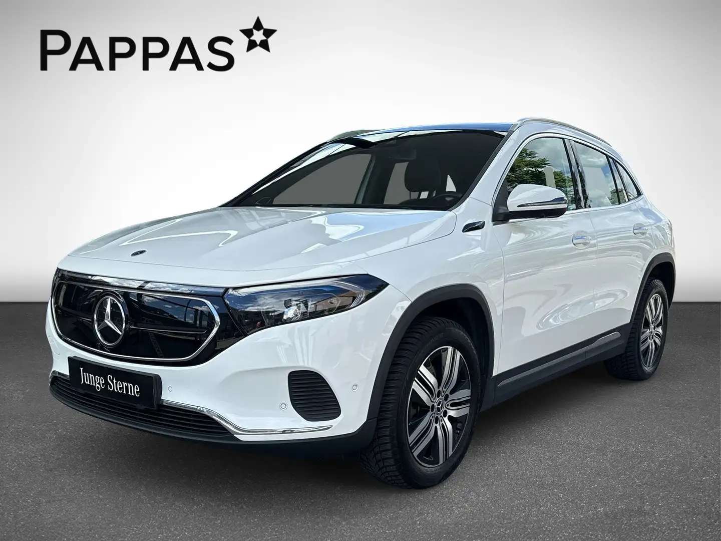 Mercedes-Benz EQA 250 Navi PTS Pano Wide Cam LED EASY-PACK SHZ Wit - 2