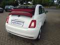 Fiat 500C 0.9 8V TwinAir Lounge NAV/DAB/Klimaautomatik Білий - thumbnail 19